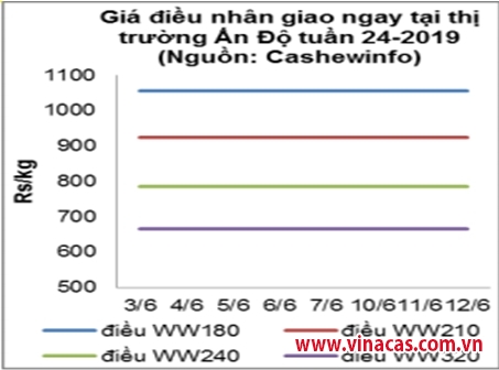 tt hat dieu thang 6 2019  gia on dinh