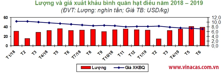 tt hat dieu thang 6 2019  gia on dinh