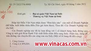 ban 100 container dieu sang y qua moi gioi doanh nghiep lo gap lua dao