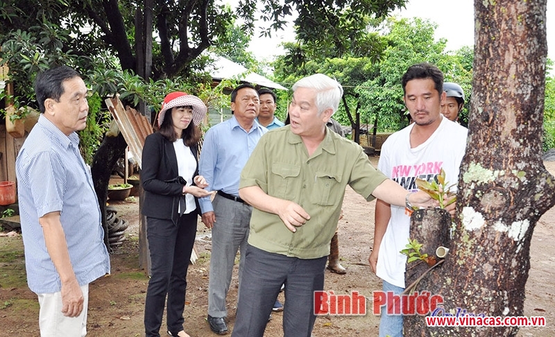 14 ho trong dieu gioi huyen bu gia map duoc tuyen duong khen thuong
