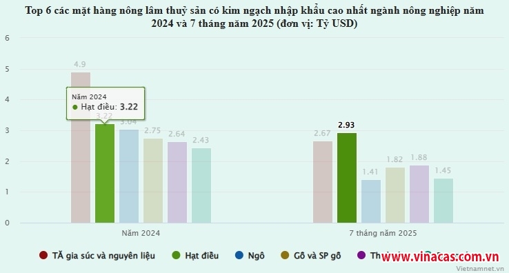 dn viet ??rot ?? 29 ty usd gom mua hat dieu hang campuchia ap dao